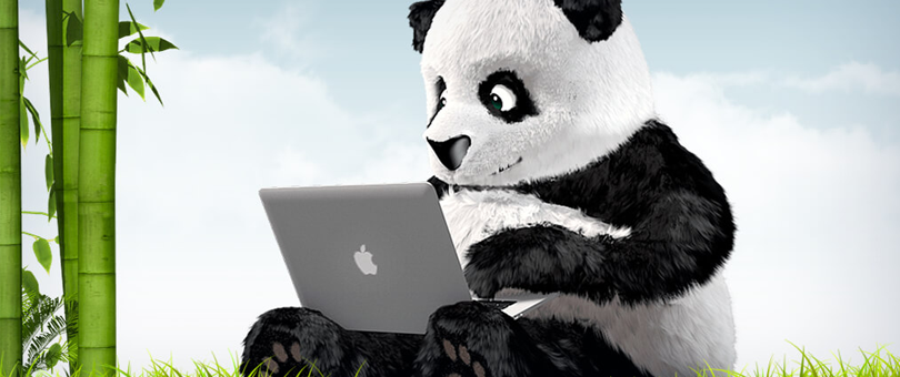 Jak na rychlejší e-shop? Optimalizace obrázků s TinyPNG